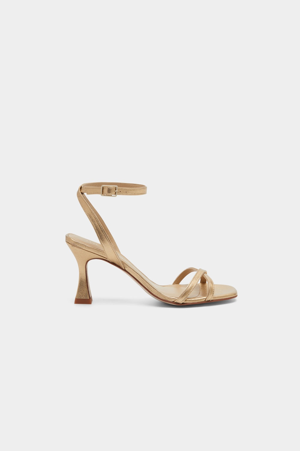 Catalina Light Gold